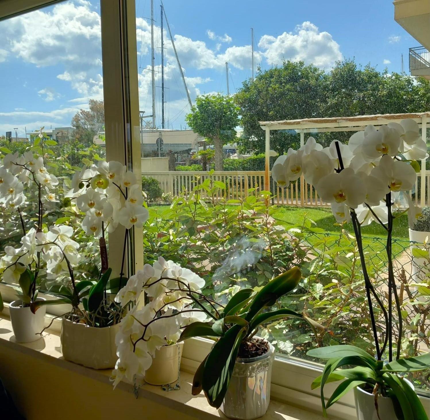 Hotel Ariella Милано Мартима Екстериор снимка